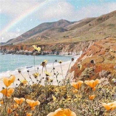 bob半岛在线登录